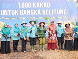 Ketua TP PKK Pangkalpinang Dukung Penanaman 1000 Pohon Kakao Bersama Bank Indonesia