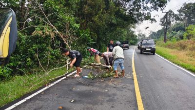 Respon Cepat Polsek Mendo Barat Tangani Pohon Tumbang di Jalan Raya Pangkalpinang–Muntok Desa Petaling